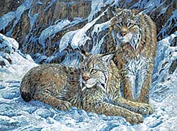 #92 ~ Ough - Lynx Pair