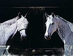 #96 ~ Petterson - Dyad #96 ~ Petterson - Dyad