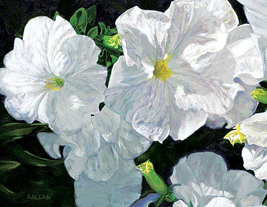 #1005 ~ Allan - Spirit of Nature