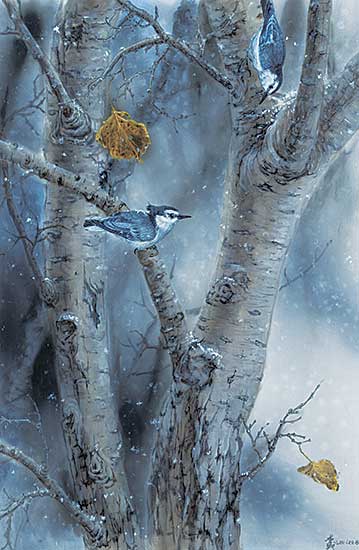 #1125 ~ Lee - On a Snowy Day [Whitebreasted Nuthatch]