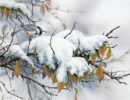#1126 ~ Lee - Four Seasons [Winter Black-Capped Chickadee]
