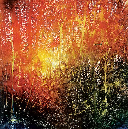 #1178.1 ~ Palmaerts - Untitled - Light in the Forest