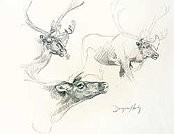 #1091 ~ Harty - Untitled - Caribou Study