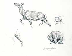 #1092 ~ Harty - Untitled - Bear and Deer Study