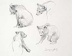 #1093 ~ Harty - Untitled - Bear Study