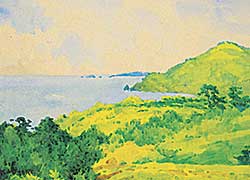 #1158 ~ Miyake - Untitled - View of the Coast