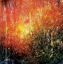 #1178.1 ~ Palmaerts - Untitled - Light in the Forest #1178.1 ~ Palmaerts - Untitled - Light in the Forest