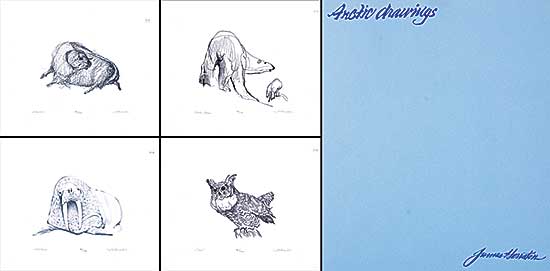 #29 ~ Houston - Arctic Drawings Portfolio [Blue]  #80/150