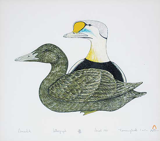 #288 ~ Pootoogook - Amaulik [Eider Ducks]  #12/50