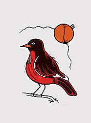 #53 ~ Kanasawe - Robin  #54/225