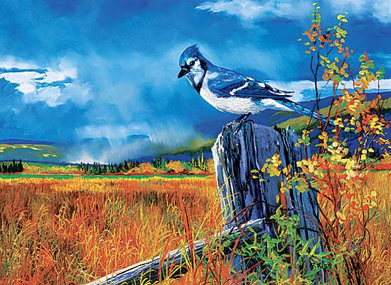 #61 ~ Kiss - Blue Jay
