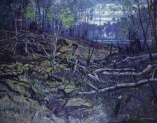 #216 ~ Flodberg - Burnt Landscape
