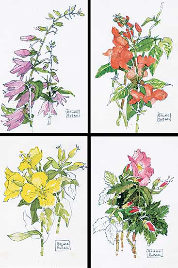 #407 ~ Bobak - Four Flower Studies