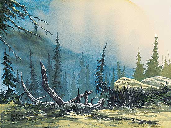 #1072 ~ Camping - Untitled - Morning Mist