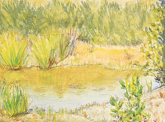 #1075 ~ Cann - Untitled - The Pond