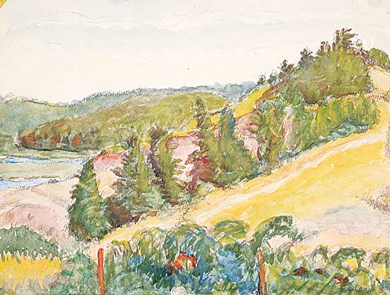 #1078 ~ Cann - Untitled - Hillside