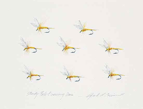 #1094 ~ Cowin - Study - Pale Evening Dun