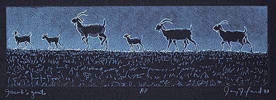 #1133 ~ Fafard - Jacob's Goats  #AP