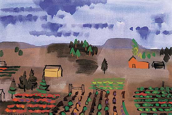 #1158 ~ Graham - Vegetable Patch