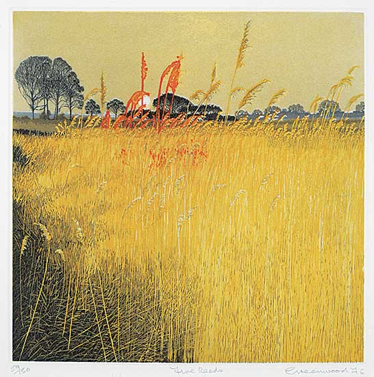 #1161 ~ Greenwood - Fire Reeds  #59/150