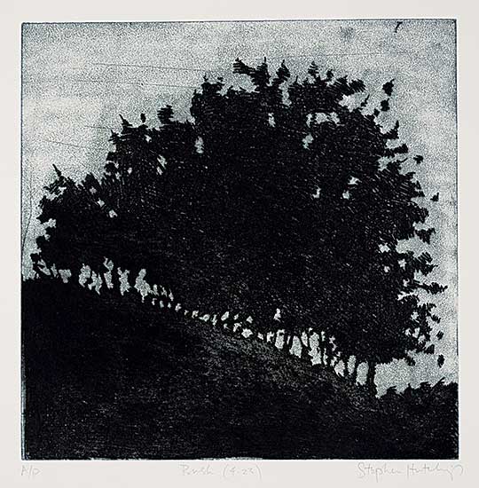 #1187 ~ Hutchings - Bush [4/23]  #A/P