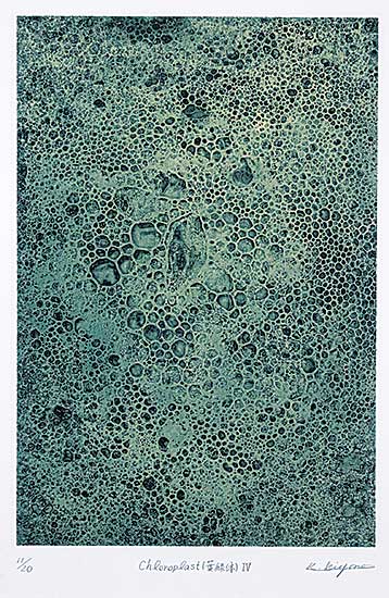 #1218 ~ Kiyono - Chloroplast IV  #11/20