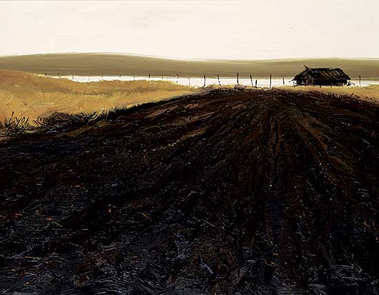 #1232 ~ Lyon - Ploughed Field