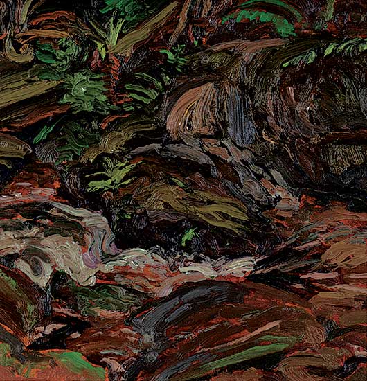 #1267 ~ More - Goldstream Rapids