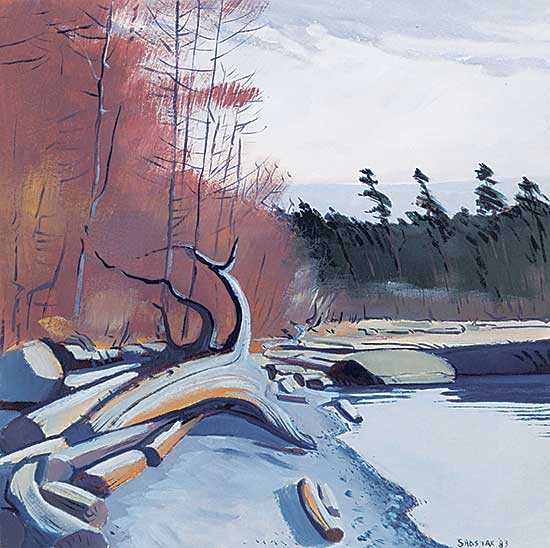 #1366 ~ Shostak - Winter Beach Before First Snowfall