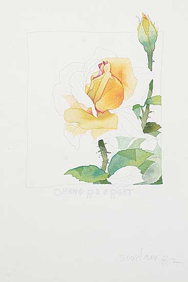 #1377 ~ Sinclair - Opening Rose and Right
