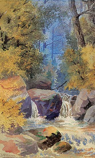 #1430 ~ Wilkinson - Stream in Forest