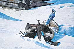 #1280 ~ Olson - Untitled - Winter Blue Jay  #7/450