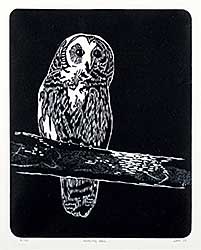 #1370 ~ Sim - Morning Owl  #4/30