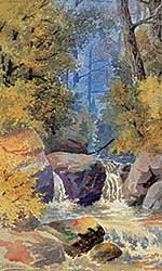 #1430 ~ Wilkinson - Stream in Forest