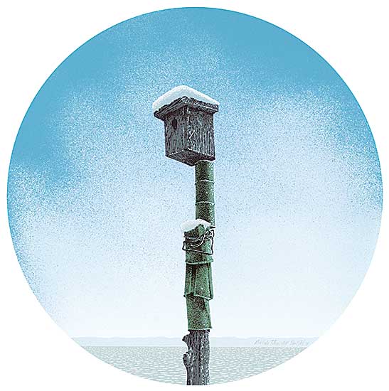#15 ~ Bolt - Rice Lake Totem  #A/P