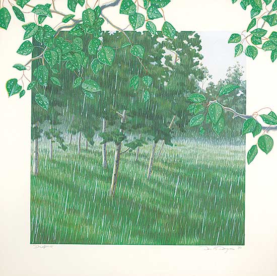 #25 ~ Denyse - Down Pour