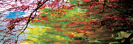 #27 ~ Dumanowski - Untitled - The Space Between