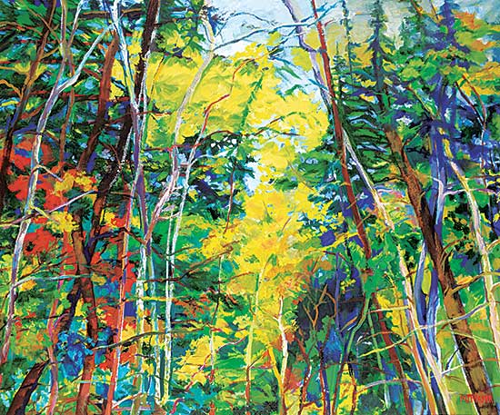 #67 ~ Major - Magic Forest