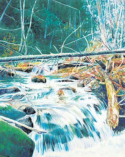 #77 ~ More - Untitled - Forest Cascade