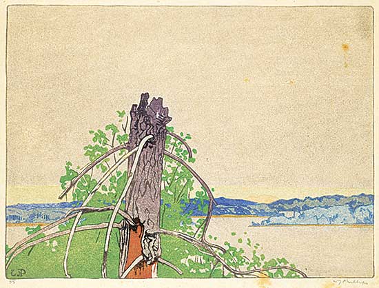 #70 ~ Phillips - The Stump  #55