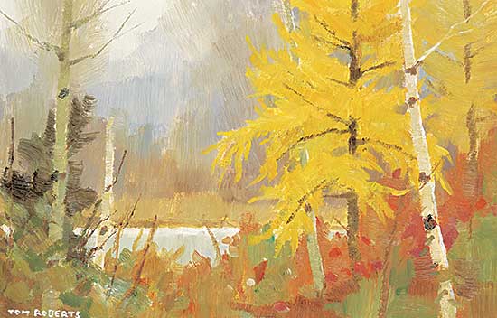 #78 ~ Roberts - Autumn Tamarack