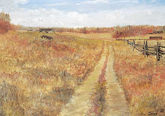 #81 ~ Sapp - Seed Drill on Albert Soonia's Farm