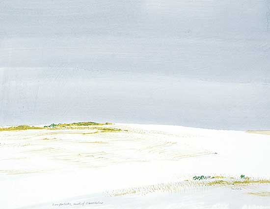 #245 ~ Tanabe - Low Foothills, South of Claresholm