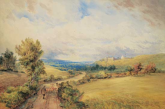 #312 ~ Matthews - Arundel Castle, Vale of Arundel, Sussex