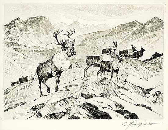 #318 ~ Rungius - Above the Timberline
