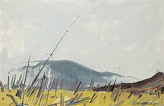 #411 ~ Bouchard - Mist and Fog - Schickshocks Gaspe Coast