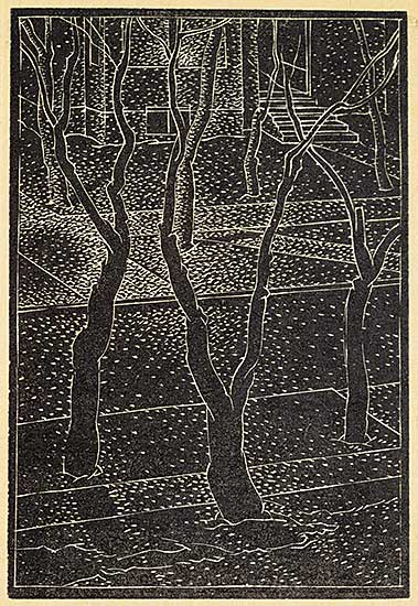 #449 ~ FitzGerald - Trees and Streets