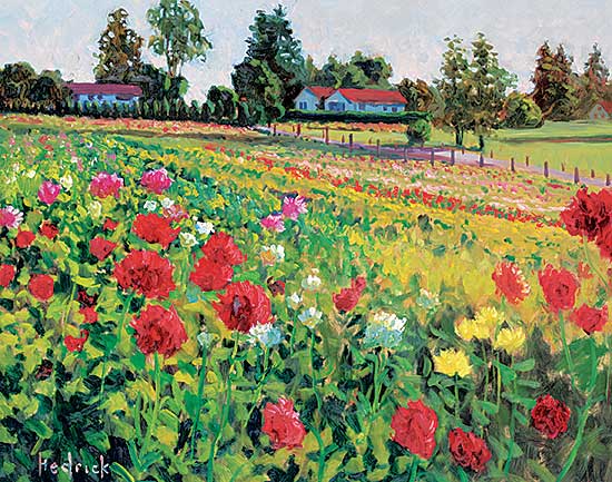 #476 ~ Hedrick - Ferncliff Gardens