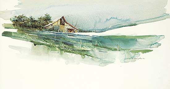 #488 ~ Johnson - Saanich #5
