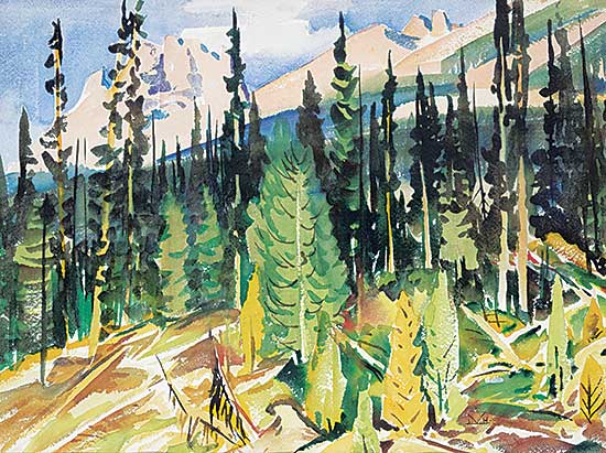#494 ~ Kerr - Evening Light - Marble Canyon